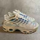 air max tn plus blue flury