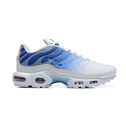 Air Max Plus TN 1 "Blue Fade"