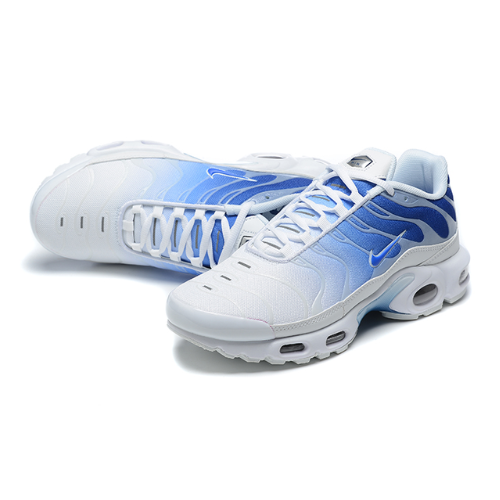 Air Max Plus TN 1 "Blue Fade"