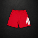 CONJUNTO SYNA WORLD RED