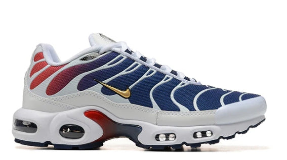 Air Max Plus TN 1 x PSG