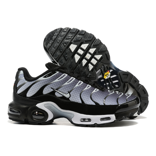 Air Max Plus TN 1 “Black Metallic”