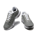 Air Max Plus TN 1 "Flat Pewter"