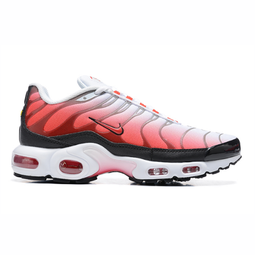 Air Max Plus TN 1 “GS Fire”