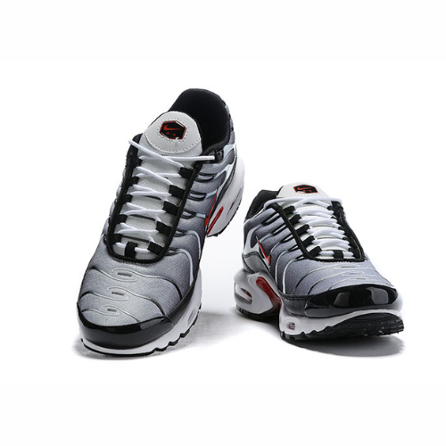 Air Max Plus TN 1 “Grey/Red”