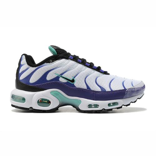 Air Max Plus TN 1 “Grape”