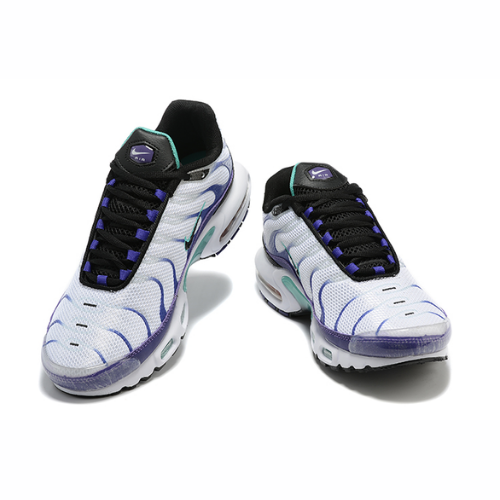 Air Max Plus TN 1 “Grape”