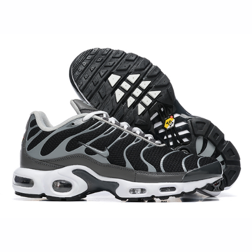 Air Max Plus TN 1 “Black/Silver”