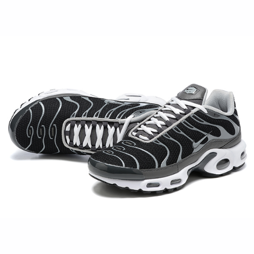 Air Max Plus TN 1 “Black/Silver”