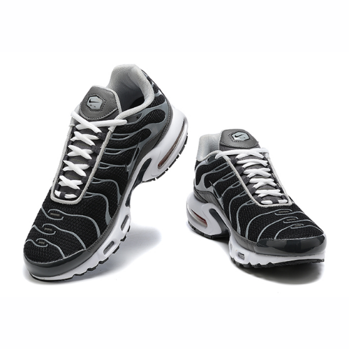 Air Max Plus TN 1 “Black/Silver”