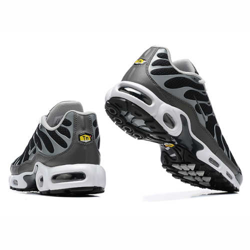 Air Max Plus TN 1 “Black/Silver”