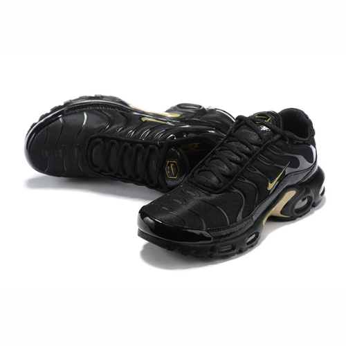 Air Max Plus TN 1 “Black/Gold”