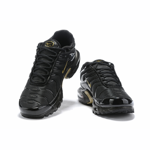 Air Max Plus TN 1 “Black/Gold”