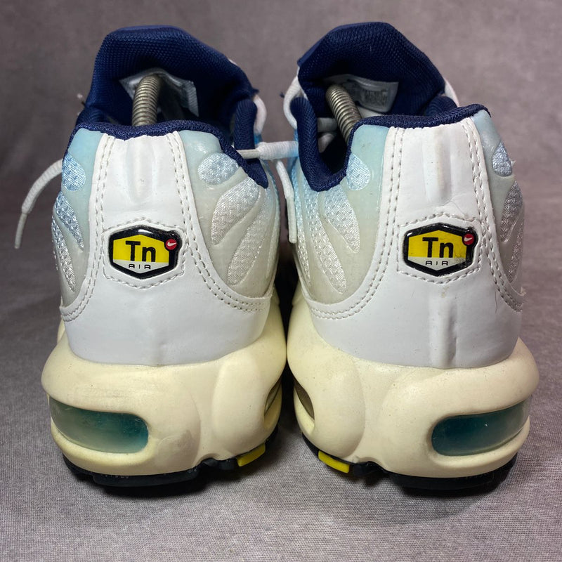 air max tn plus physic blue