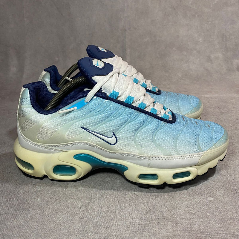 air max tn plus physic blue