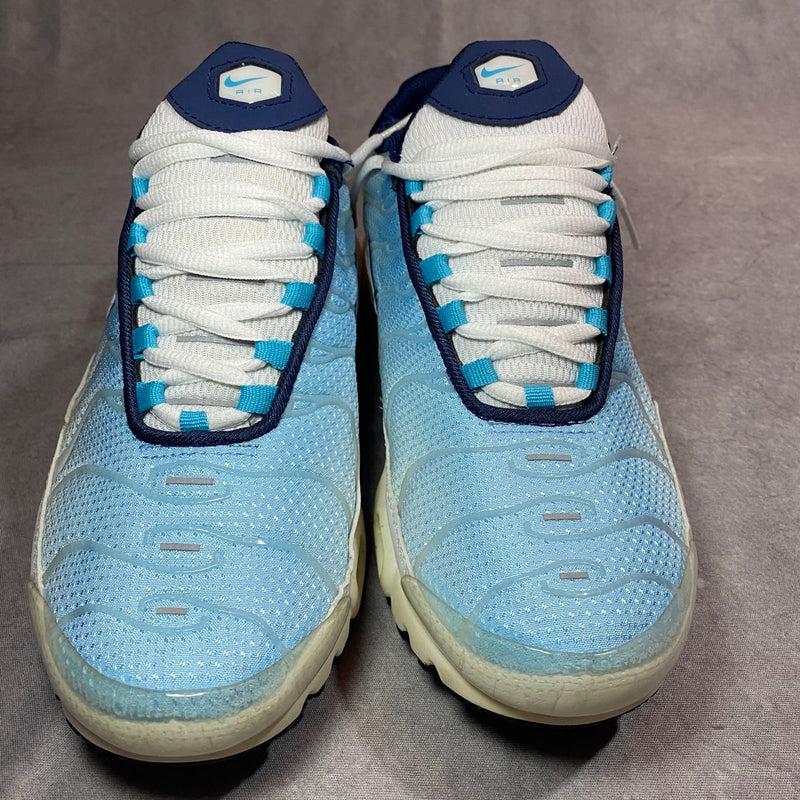 air max tn plus physic blue