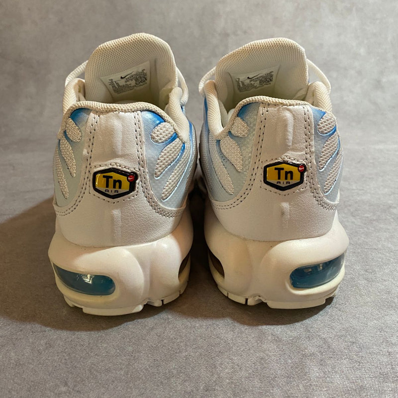 air max tn plus blue flury