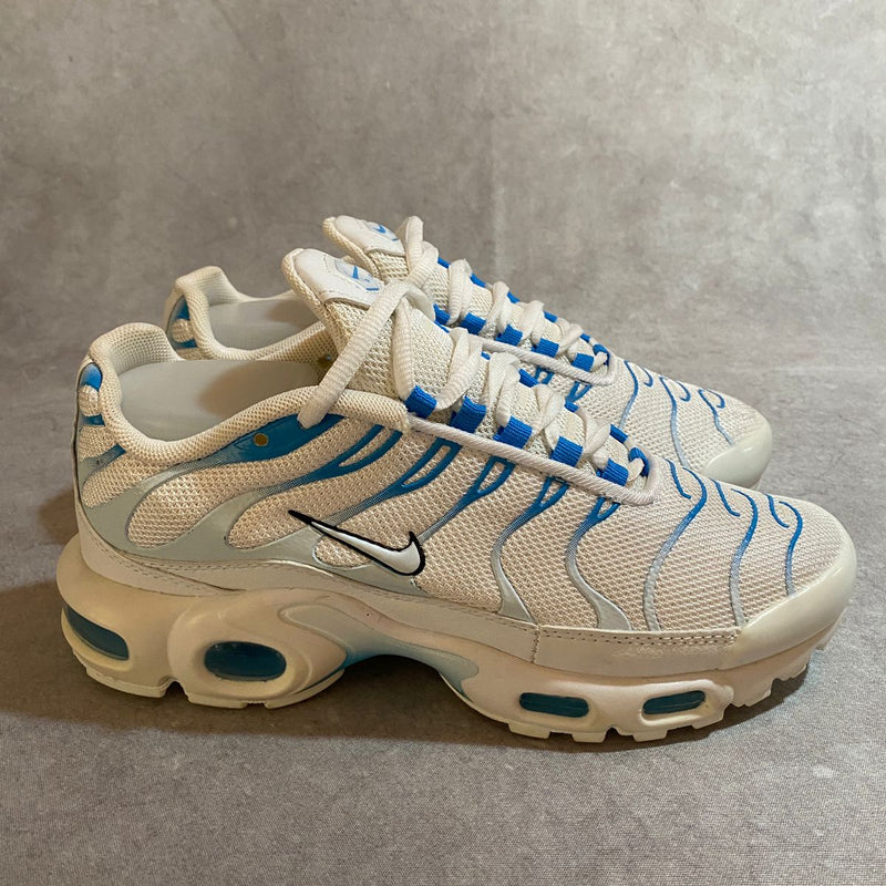 air max tn plus blue flury