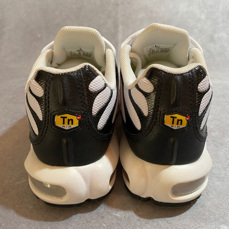 air max tn plus panda
