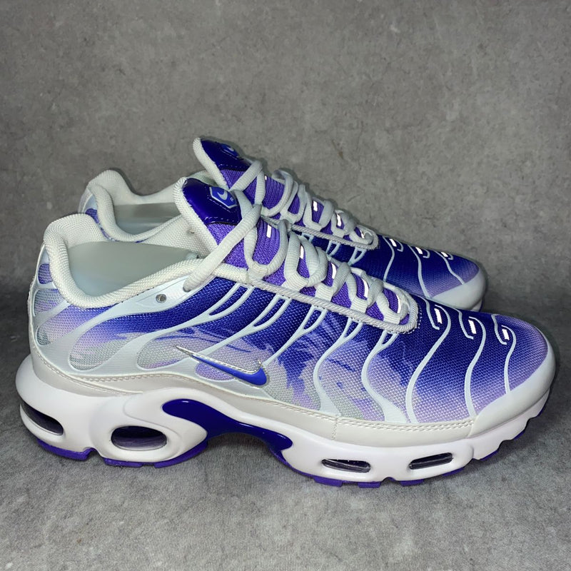 air max tn plus dragon