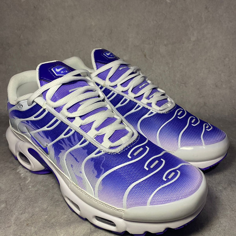 air max tn plus dragon