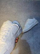 Nike Sb Twist Triple White