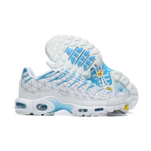 Air Max Plus TN 1 “Marseille”