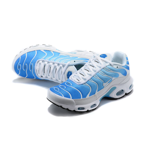 Air Max Plus TN 1 “BattleBlue”