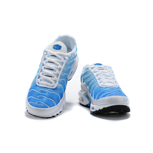 Air Max Plus TN 1 “BattleBlue”