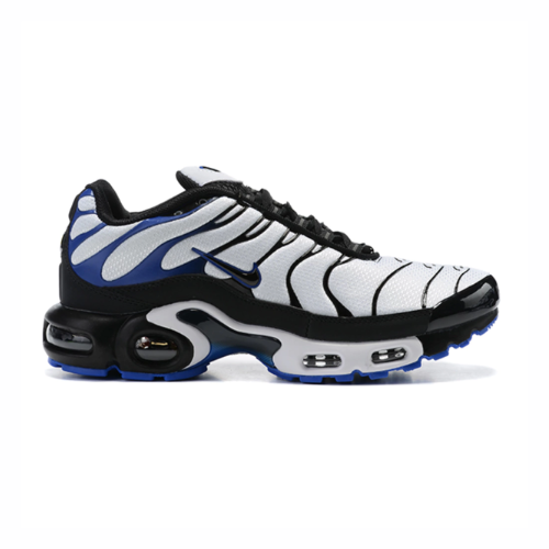 Air Max Plus TN 1 “Persian Violet”