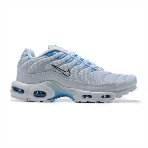 Air Max Plus TN 1 “Blue Flury”