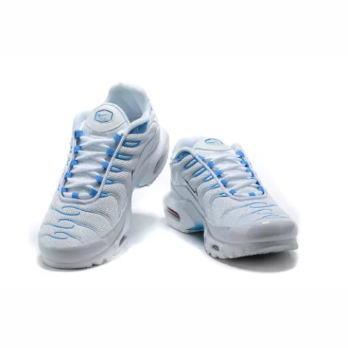 Air Max Plus TN 1 “Blue Flury”