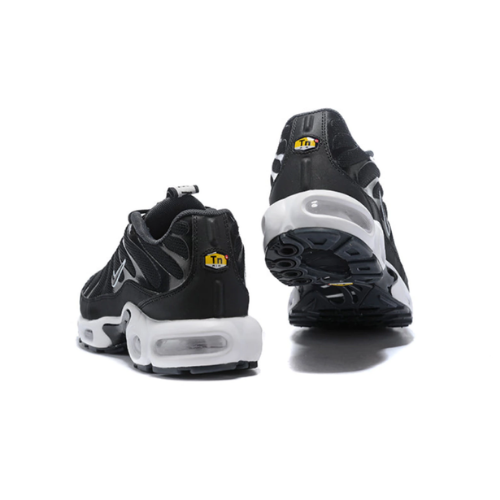 Air Max Plus TN 1 “Fita”