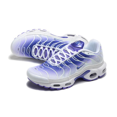 Air Max Plus TN 1 “Dragon”