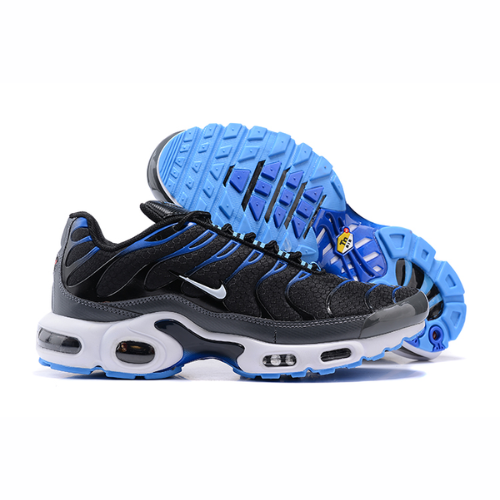 Air Max Plus TN 1 “Reverse Blue”