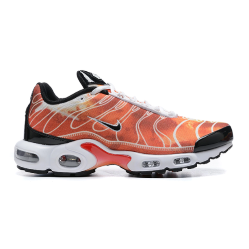 Air Max Plus TN 1 “Light Photography”