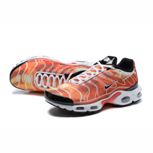 Air Max Plus TN 1 “Light Photography”