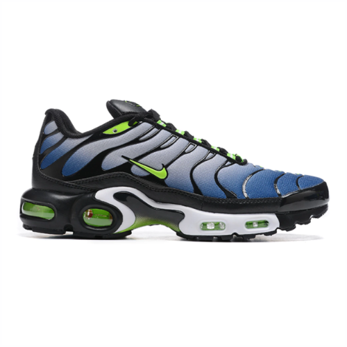 Air Max Plus TN 1 “Icons”